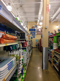 PetSmart - Photo 8 - Car repair in Pittsburgh, PA, Pittsburgh