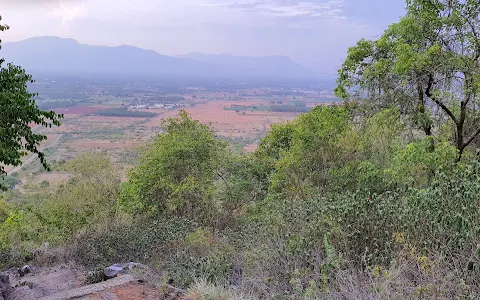 Ayyaswamy Foot Hills, Theethipalayam image
