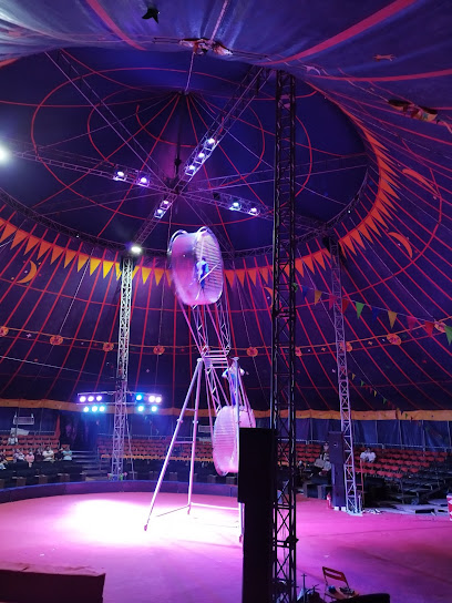 Pacific International stunt circus