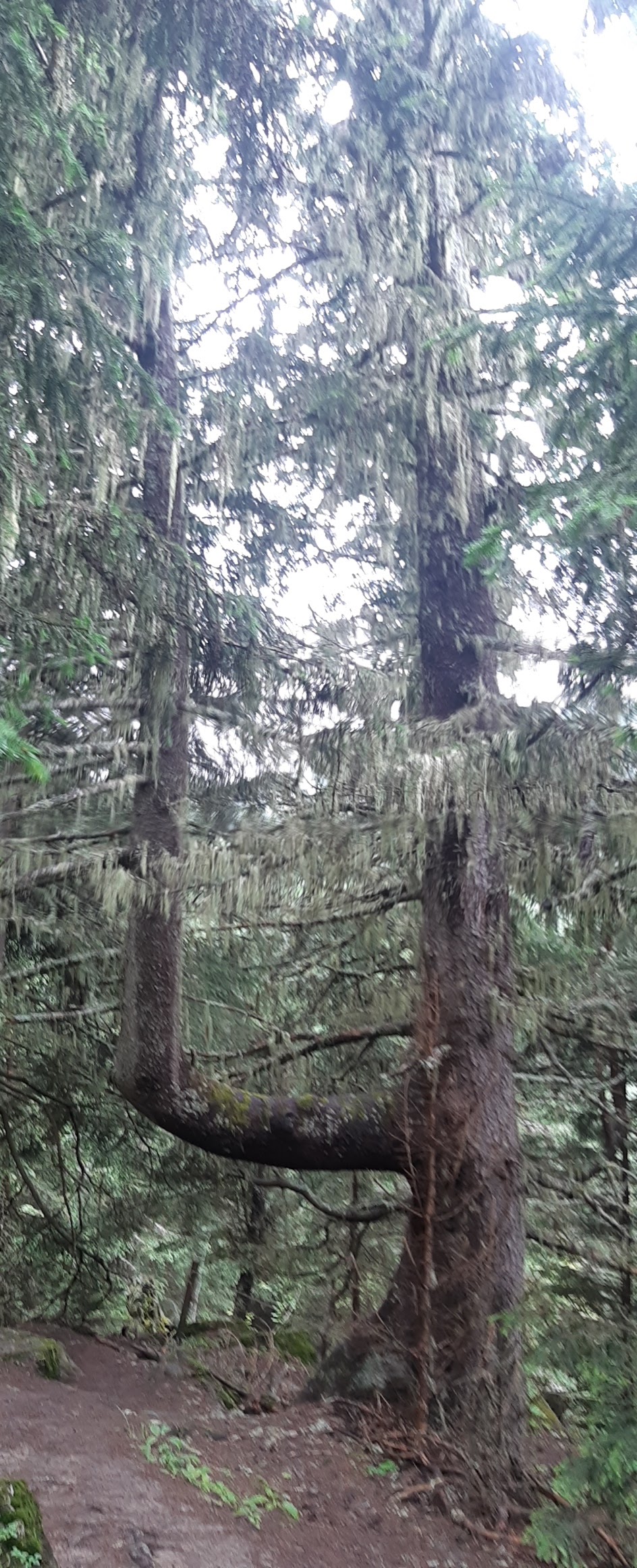 Photo n° 13 de l'avis de Yannick.a fait le 17/07/2021 à 19:29