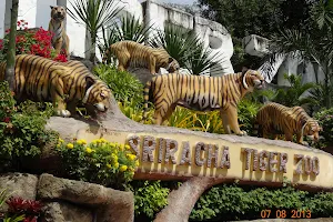 SriRacha Tiger Zoo image