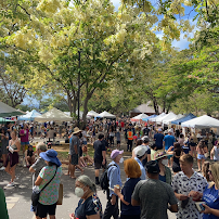 Elias Halvorson - VA Home Loans Hawaii - Photo 5 - Car repair in Honolulu, HI, Honolulu