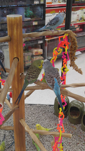 Pet Supply Store «Petco Animal Supplies», reviews and photos, 6020 Crawfordsville Rd, Speedway, IN 46224, USA