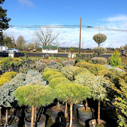 Lopez Nursery & Garden