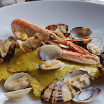 Photo n°2 de l'avis de Ira.i fait le 29/06/2019 à 17:50 sur le  ristorante Tora Tora à Pisa