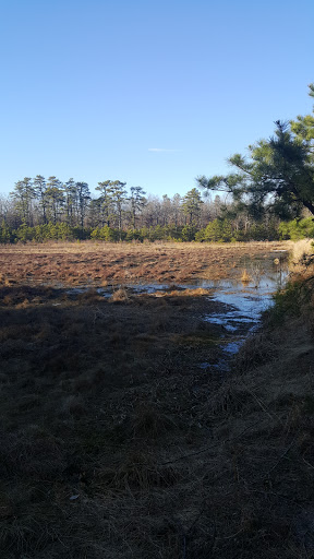 Community Park «Cloverdale Farm County Park», reviews and photos, 34 Cloverdale Rd, Barnegat, NJ 08005, USA