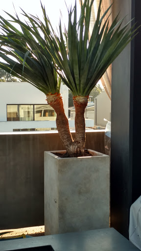 Coffee Shop «Intelligentsia Coffee», reviews and photos, 1331 Abbot Kinney Blvd, Venice, CA 90291, USA