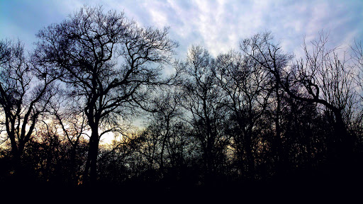 Park «California Crossing Park», reviews and photos, 5198 Riverside Dr, Irving, TX 75039, USA