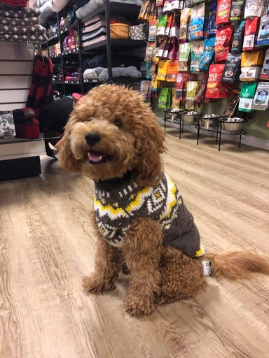 Pet Store «Well Bred», reviews and photos, 25 Main St, Chester, NJ 07930, USA