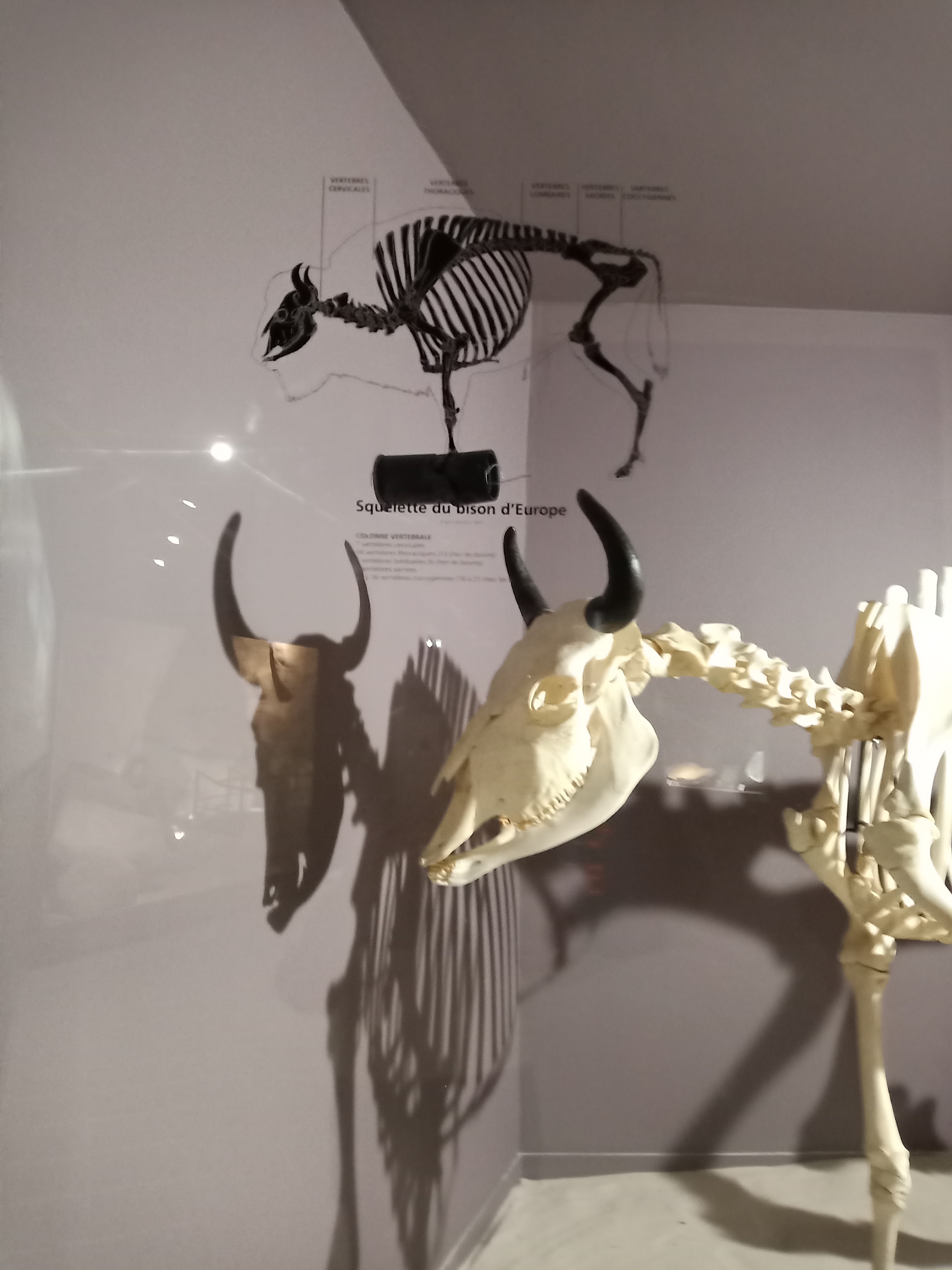 Photo n° 20 de l'avis de Marj.a fait le 18/07/2021 à 21:04