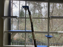 Catio BoB - Photo 4 - Car repair in Athens, GA, Athens