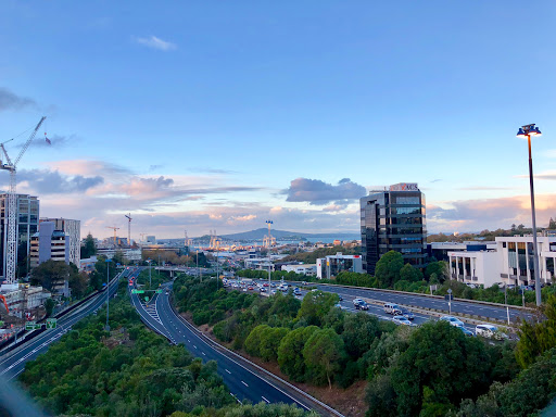 Grafton Bridge