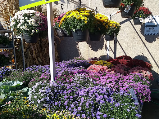 Home Improvement Store «The Home Depot», reviews and photos, 75 McLean Blvd, Paterson, NJ 07514, USA