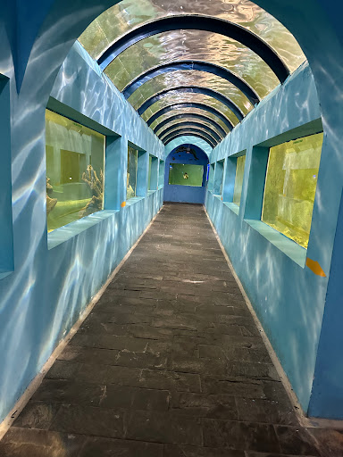 Top 20 cửa hàng air space Quận 11 Hồ Chí Minh 2022