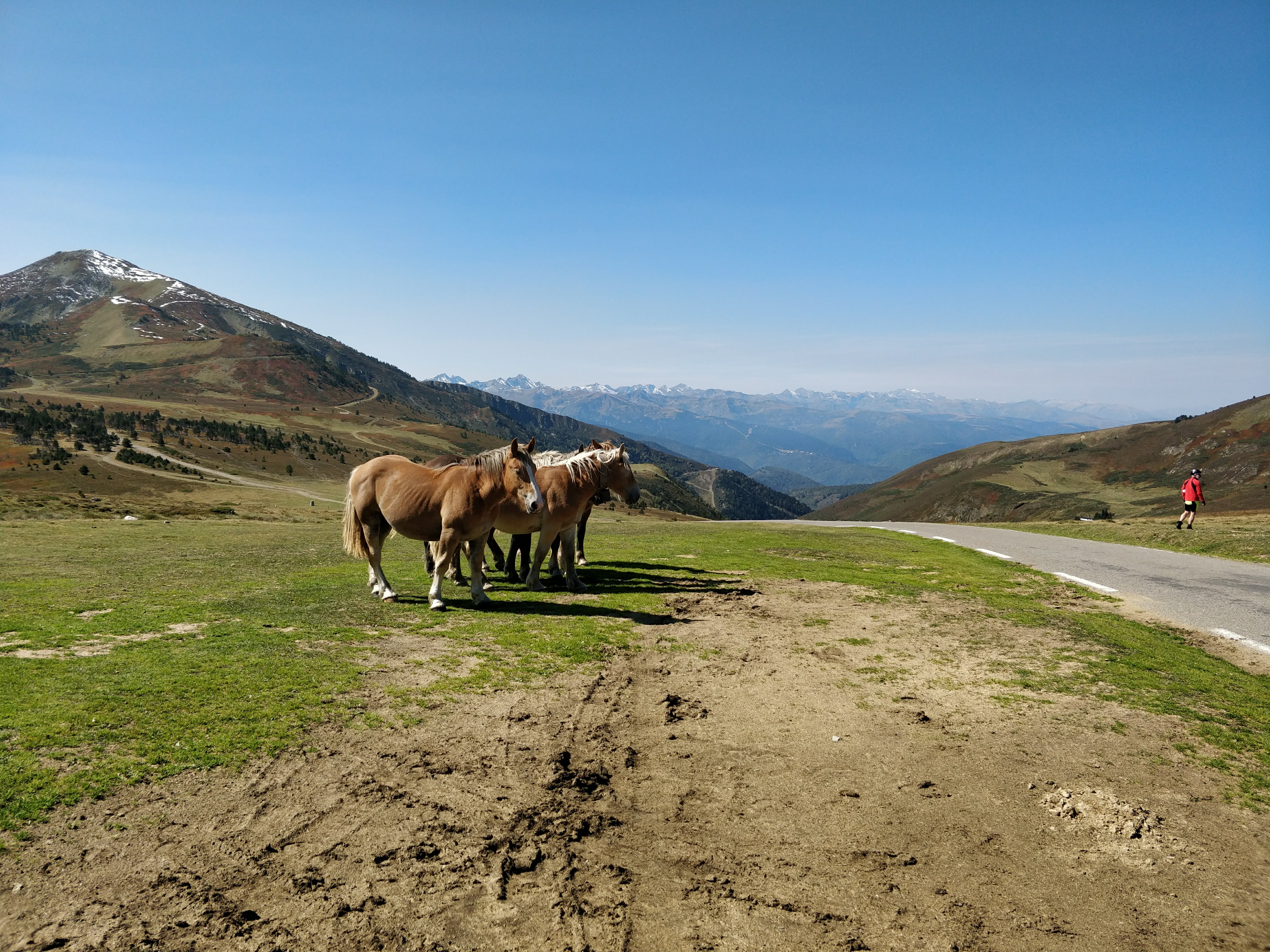 Photo n° 1 de l'avis de David.e fait le 25/09/2017 à 15:48