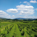 Photo n°1 de l'avis de Thomas. fait le 17/05/2020 à 11:40 sur le  Borgo dei Sapori di Irene Cencig - Agriturismo e Vino Biologico à Spessa