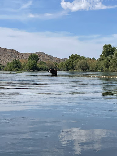 Old Arizona Dam