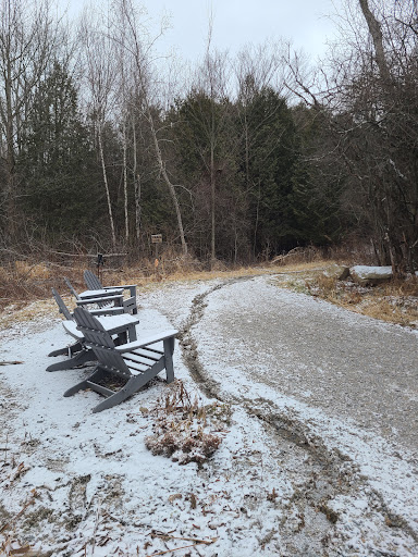 100 Acre Woods