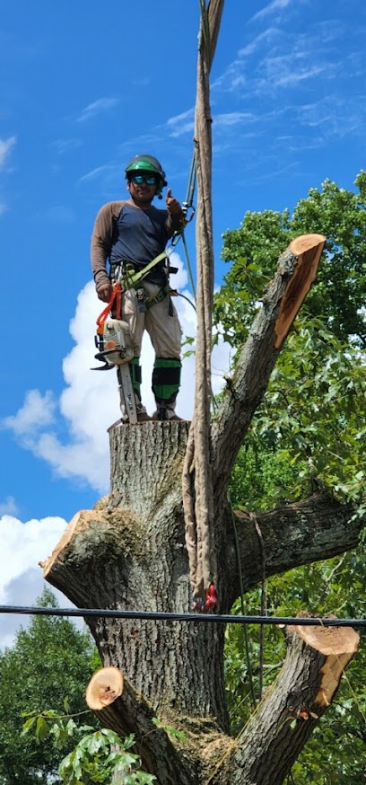 E&N tree service LLC