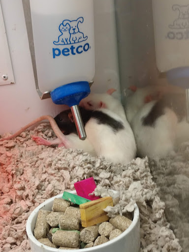 Pet Supply Store «Petco Animal Supplies», reviews and photos, 226 Thornton Drive, Dickson, TN 37055, USA