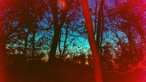 Park «Lake Elmo Park Reserve», reviews and photos, 1515 Keats Ave N, Lake Elmo, MN 55042, USA