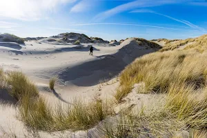 Nationaal Park Duinen van Texel image