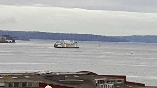 Park «Olympic Sculpture Park», reviews and photos, 2901 Western Ave, Seattle, WA 98121, USA