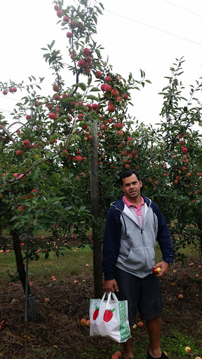 Farm «Fairmount Fruit Farm», reviews and photos, 887 Lincoln Street, Franklin, MA 02038, USA