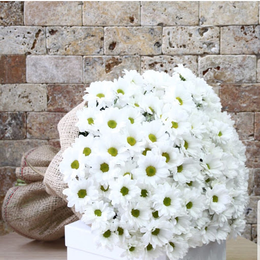 Muğla Kardelen Çiçekçilik