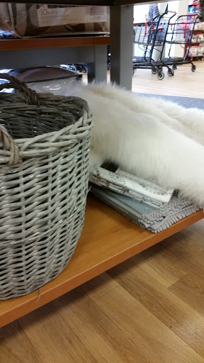 Department Store «T.J. Maxx», reviews and photos, 15530 Annapolis Rd, Bowie, MD 20715, USA