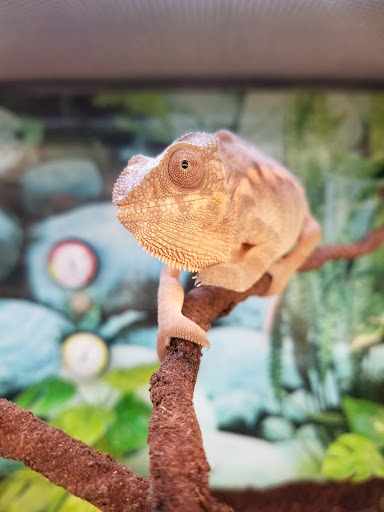 Pet Supply Store «Petco Animal Supplies», reviews and photos, 4665 Garth Rd #400, Baytown, TX 77521, USA