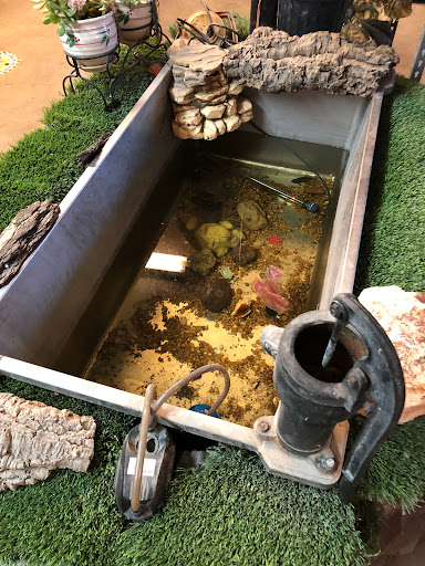 Animal Feed Store «Whittier Feed Store», reviews and photos, 12618 Penn St, Whittier, CA 90602, USA