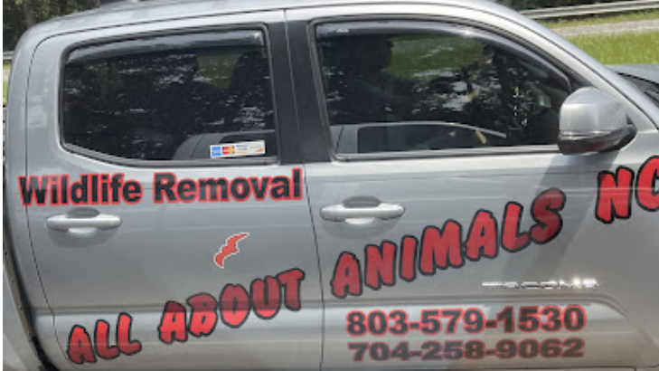 All About Animals NC