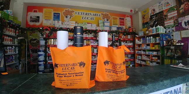Opiniones de VETERINARIA LUCAS en Arequipa - Veterinario