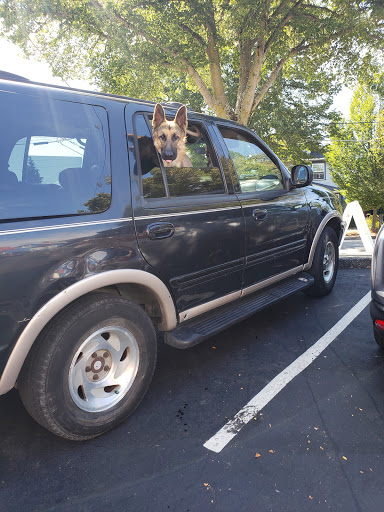 Hardware Store «Maple Leaf Hardware», reviews and photos, 9000 Roosevelt Way NE, Seattle, WA 98115, USA