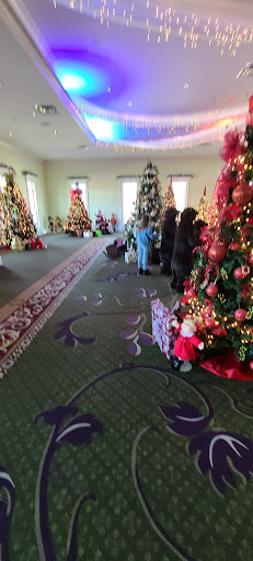 Toy Store «Babyland General Hospital», reviews and photos, 300 NOK Dr, Cleveland, GA 30528, USA