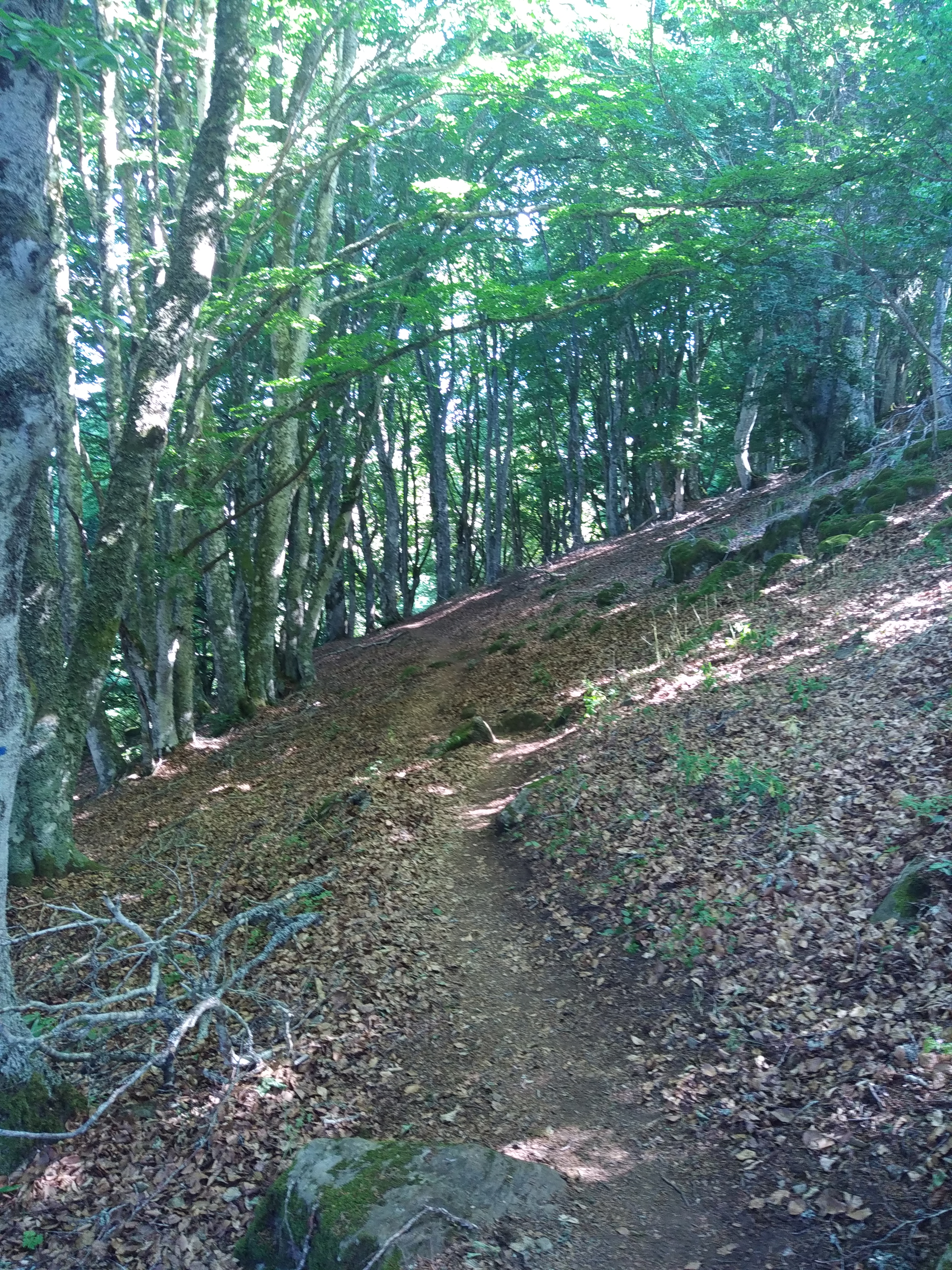 Photo n° 20 de l'avis de Julien.a fait le 14/07/2022 à 19:44