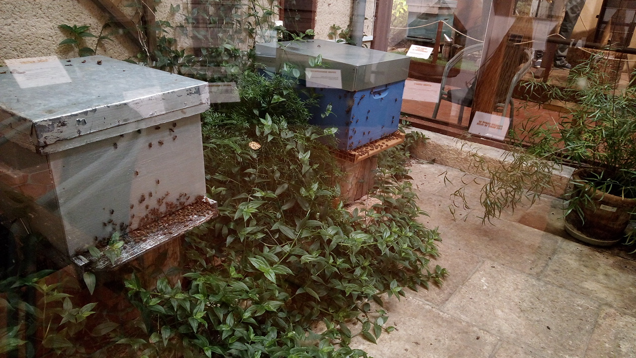 Photo n° 2 de l'avis de Artémis.h fait le 08/07/2019 à 15:29