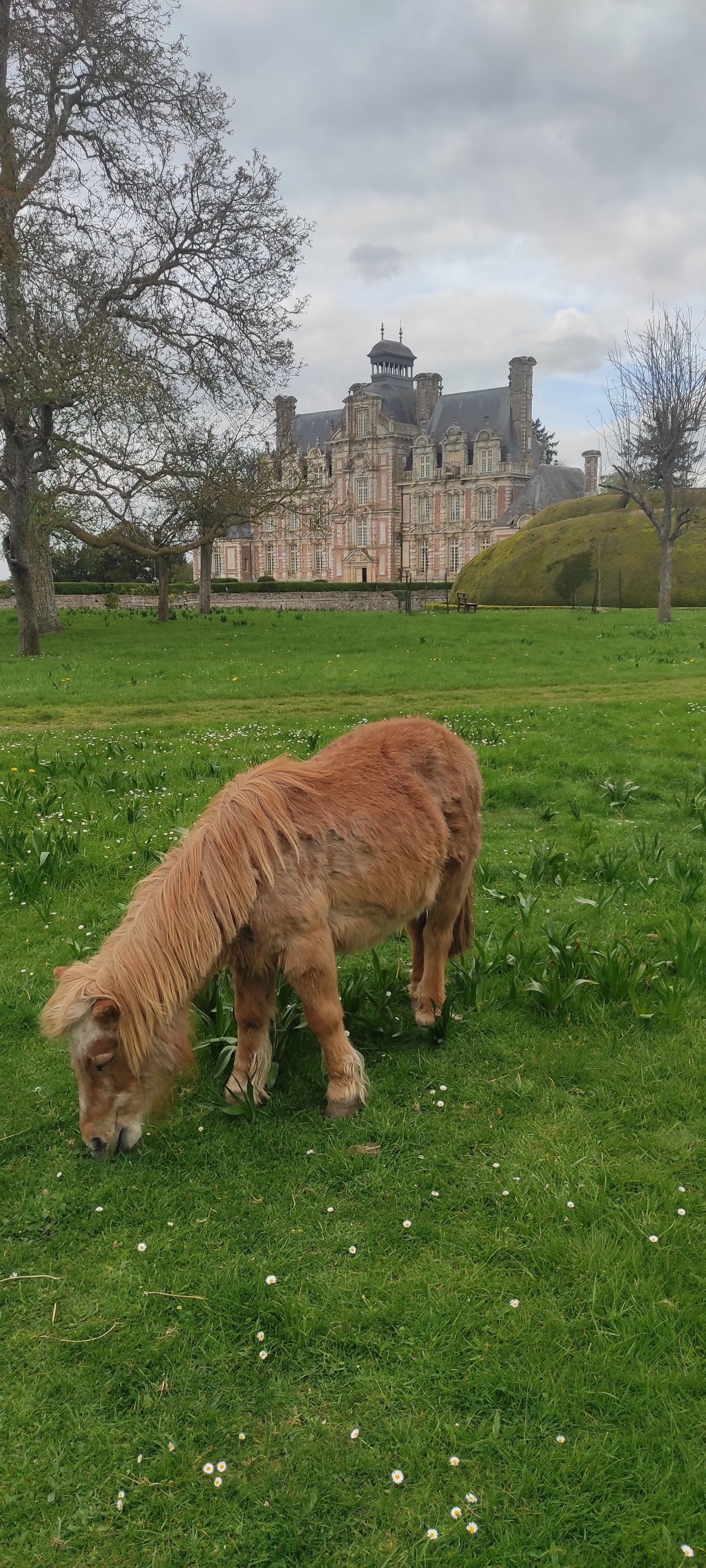 Photo n° 1 de l'avis de Cedric.o fait le 25/04/2023 à 21:00