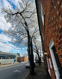 EMP Law - Photo 2 - Car repair in Winston-Salem, NC, Winston-Salem