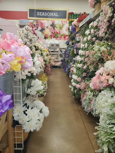 Craft Store «Michaels», reviews and photos, 630 US-441, Lady Lake, FL 32159, USA