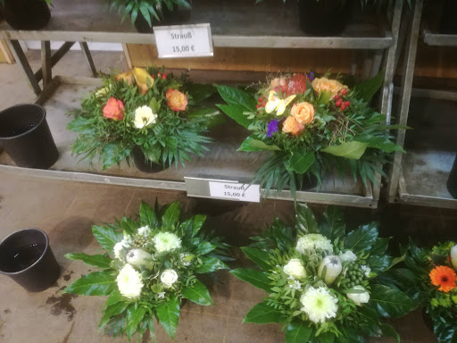 Florists in Hannover