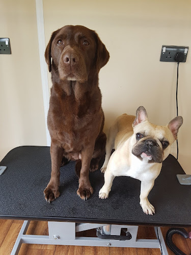 Flawless Dog and Pet Grooming Services - Leeds
