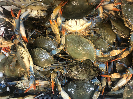 Asian Grocery Store «99 Ranch Market», reviews and photos, 25000 Blue Ravine Rd, Folsom, CA 95630, USA