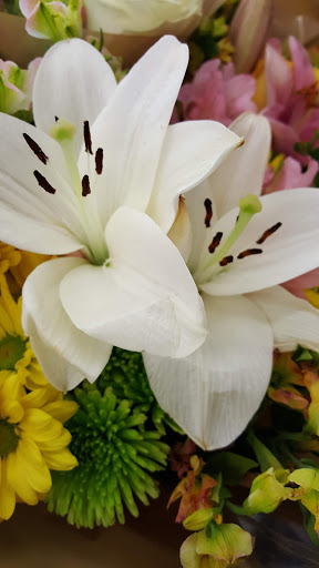 Grocery Store «H-E-B Grocery», reviews and photos, 2150 W Washington St, Stephenville, TX 76401, USA