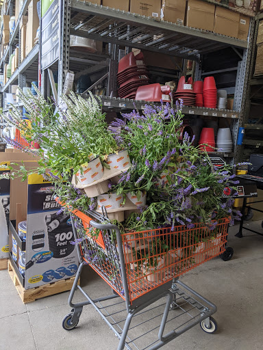 Home Improvement Store «The Home Depot», reviews and photos, 244 US-202, Flemington, NJ 08822, USA