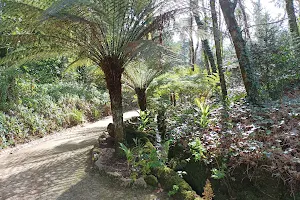 Gardens of Parque da Pena image