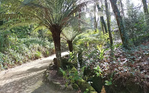 Gardens of Parque da Pena image