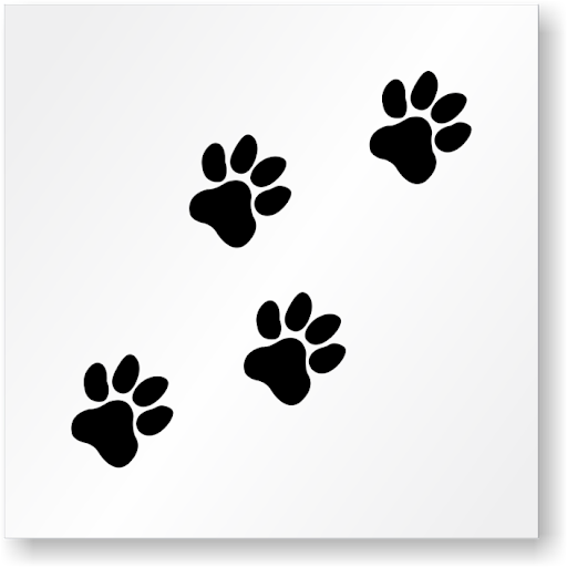 All About Paws, Pet Sitting Services