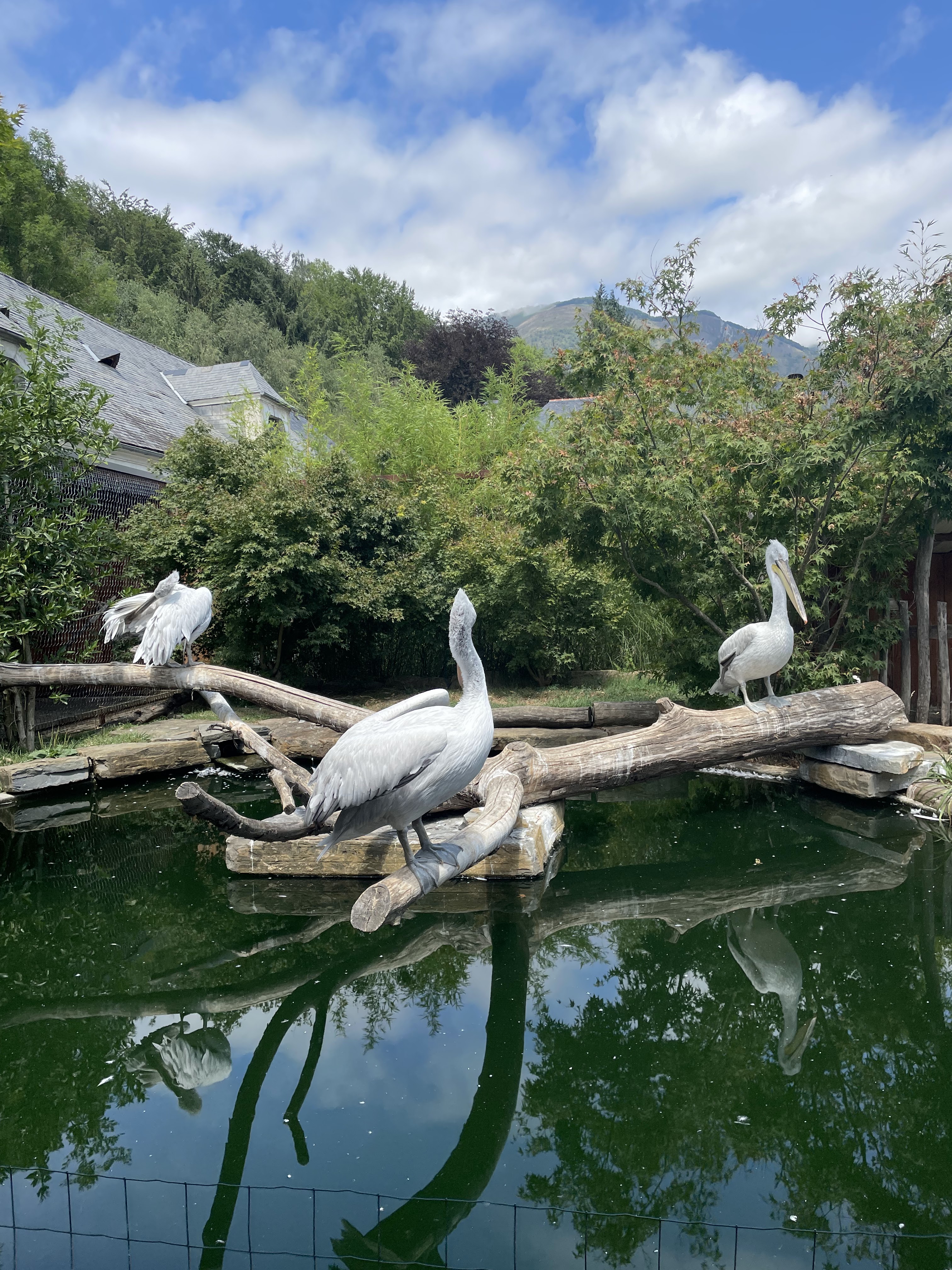 Photo n° 47 de l'avis de Gregory.G fait le 01/08/2022 à 10:31